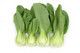 Bok Choy