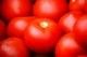 Gourmet Tomatoes