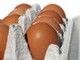 700gm Eggs Bulk