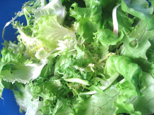 Italian Mixed Lettuce