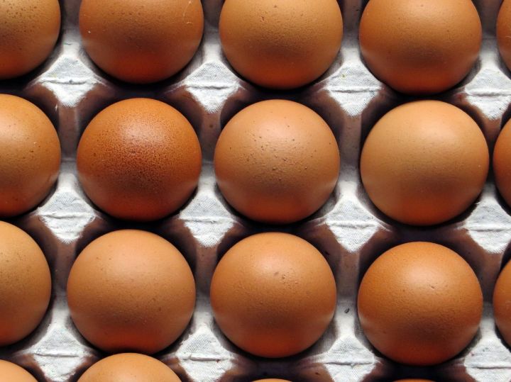 600gm Eggs Bulk