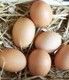 Freerange Eggs 350gm