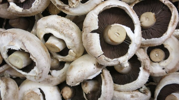 Mushrooms Cups