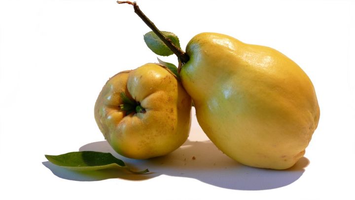 Fresh Quinces